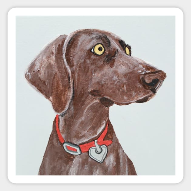 Bella Blue the Weimaraner Sticker by AmandaAAnthony